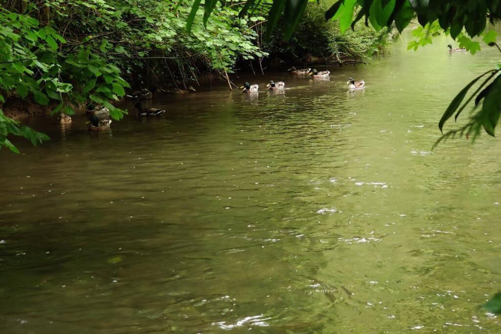 Uw Eigen Boerderij Bij Le Moulin De La Place Hargicourt Εξωτερικό φωτογραφία